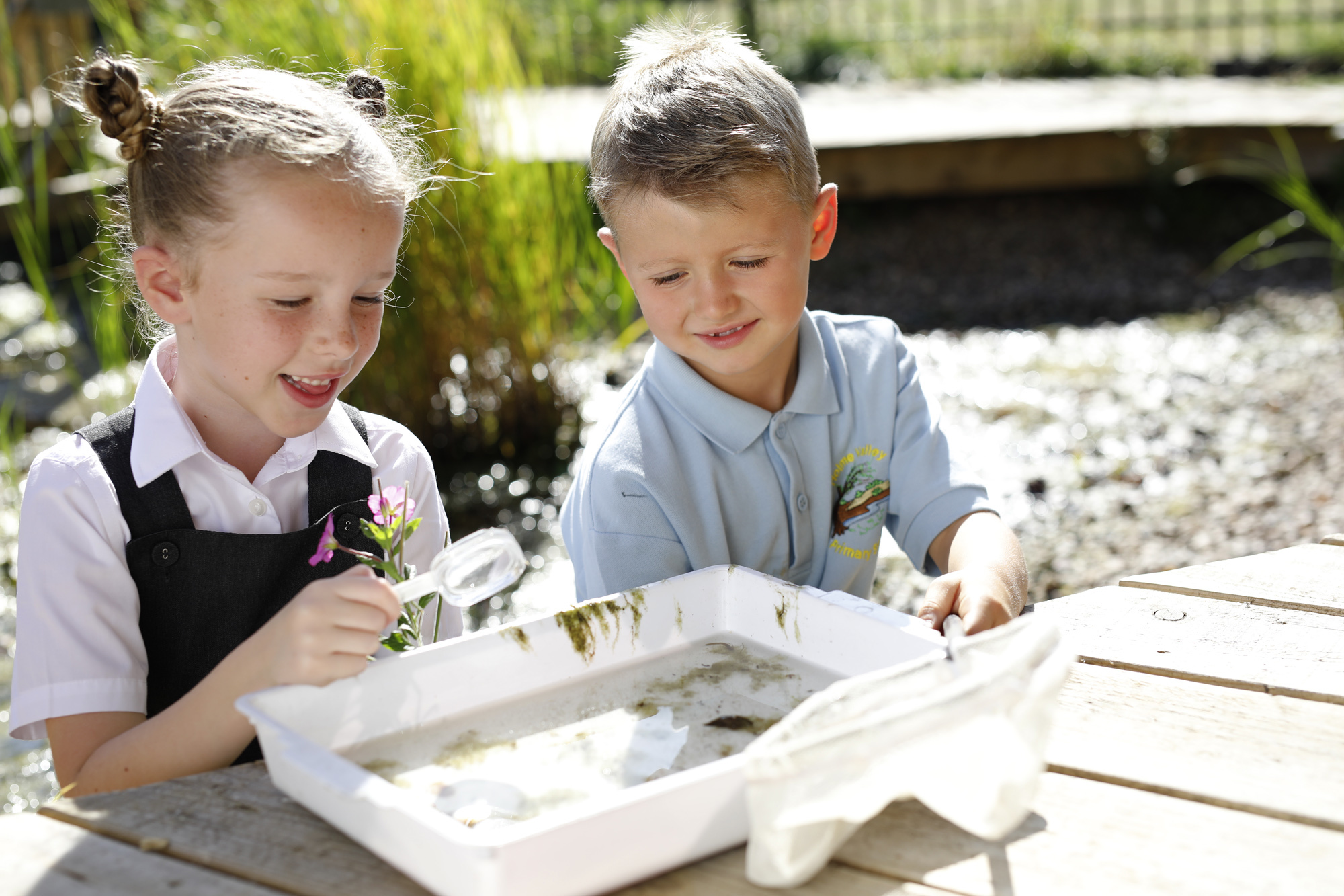 Holme valley primary school 24